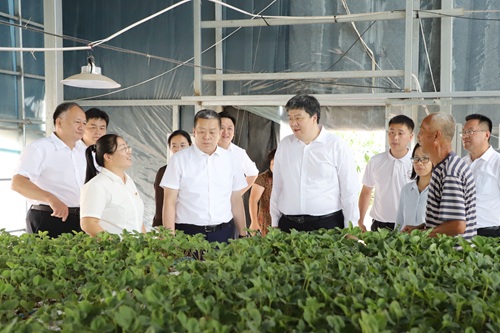 m图片7.jpg